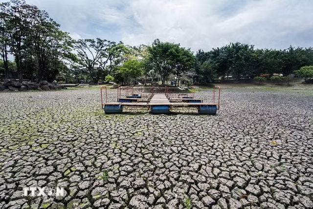 Siêu El Nino "siêu mạnh": Châu Á đối mặt những tác động nào? - Ảnh 1.