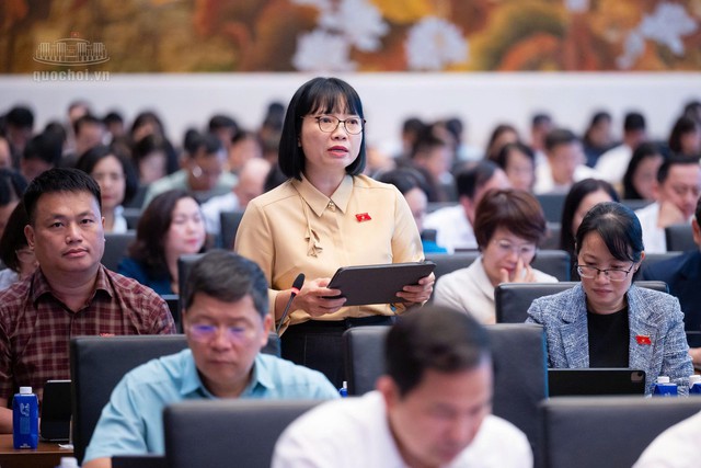 ĐBQH: Giá điện hợp lý không đồng nghĩa với giá điện thấp bằng mọi cách- Ảnh 1.