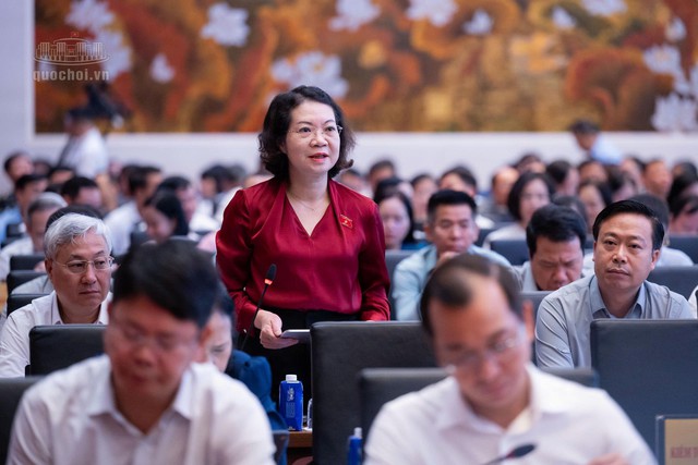 ĐBQH đề nghị đánh giá kỹ tăng mức phạt hành chính tối đa 1,5 tỷ đồng với cá nhân - Ảnh 1.