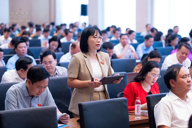 ĐBQH đề nghị đánh giá kỹ tăng mức phạt hành chính tối đa 1,5 tỷ đồng với cá nhân - Ảnh 3.
