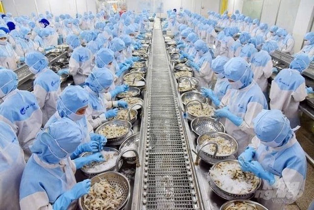 Sửa đổi, bổ sung 3 thủ tục hành chính về thủy sản, kiểm ngư - Ảnh 1.