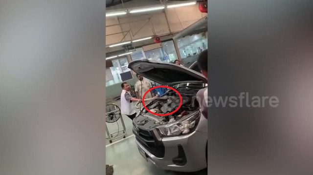 Vừa mở xe, người đàn ông chết lặng trước cảnh tượng "nổi da gà" - Ảnh 1.