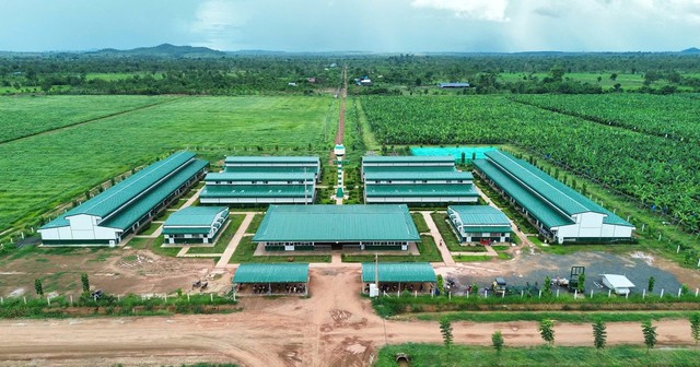 Thaco Agri của tỷ phú Trần Bá Dương được định giá gần 21.000 tỷ đồng - Ảnh 1.