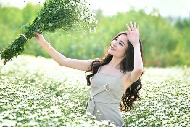 Thiếu nữ đẹp mê hồn bên cánh đồng cúc họa mi giữa lòng Hà Nội