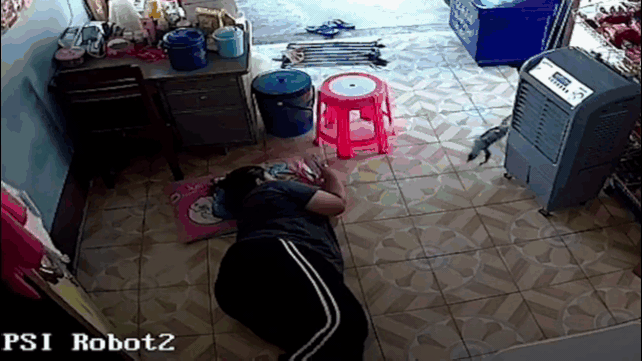 thằn lằn bò lên người