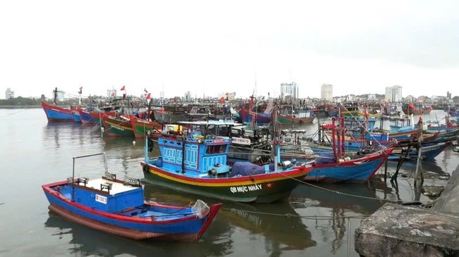 Quảng Bình mưa lớn do ảnh hưởng bão số 1, gần 1.500 ha lúa hè thu bị ngập sâu- Ảnh 3. Quảng Bình mưa lớn do ảnh hưởng bão số 1, gần 1.500 ha lúa hè thu bị ngập sâu- Ảnh 3.