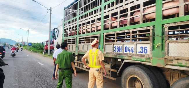 Phát hiện xe tải chở 50 con heo không rõ nguồn gốc, không có giấy tờ kiểm dịch- Ảnh 1. Phát hiện xe tải chở 50 con heo không rõ nguồn gốc, không có giấy tờ kiểm dịch- Ảnh 1.