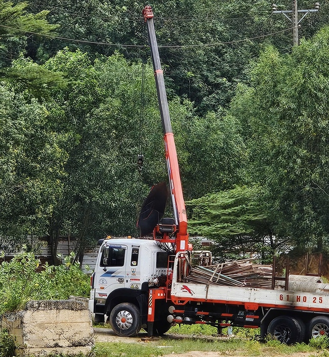 Điều khiển xe cẩu vướng dây điện, 2 người thương vong- Ảnh 1.