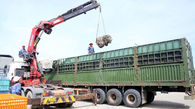 Cận cảnh xe chở vượt tải trọng 429% bị phạt hơn 300 triệu đồng- Ảnh 3.