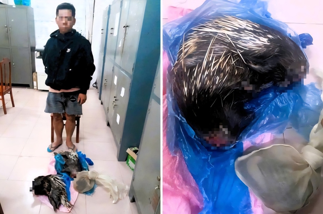Công an Đồng Nai tạm giữ 1 đối tượng có hành vi vận chuyển trái phép động vật hoang dã.- Ảnh 1. Công an Đồng Nai tạm giữ 1 đối tượng có hành vi vận chuyển trái phép động vật hoang dã.- Ảnh 1.