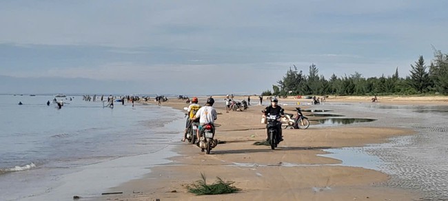 Ruốc về bờ dày đặc, hàng trăm người dân ra bãi biển vớt thu tiền triệu- Ảnh 1. Ruốc về bờ dày đặc, hàng trăm người dân ra bãi biển vớt thu tiền triệu- Ảnh 1.