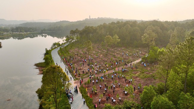 Huế: Phủ xanh &ldquo;c&ocirc;ng vi&ecirc;n ma mị&rdquo; từng l&ecirc;n nhiều tờ b&aacute;o nước ngo&agrave;i - Ảnh 2.