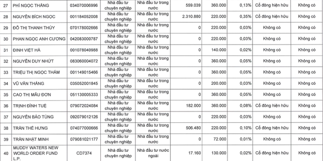 Lộ diện các nhà đầu tư chi hơn 4.000 tỷ đồng đầu tư vào Vietcap- Ảnh 4.