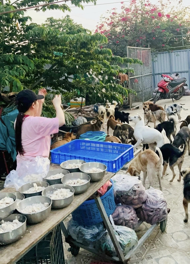 Nữ diễn viên chi 100 triệu mỗi tháng nuôi gần 400 con chó bị bỏ rơi - Ảnh 10.
