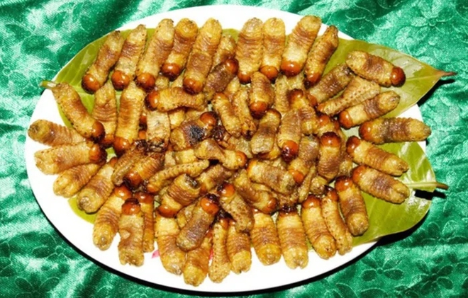 Loài sâu bề ngoài nhìn "sợ khiếp vía", nay lại trở thành đặc sản với giá 350.000 đồng/kg - Ảnh 7.