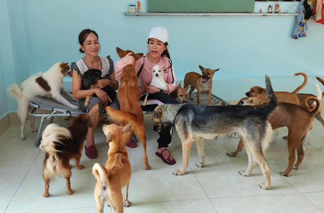 Nữ diễn viên chi 100 triệu mỗi tháng nuôi gần 400 con chó bị bỏ rơi - Ảnh 4.