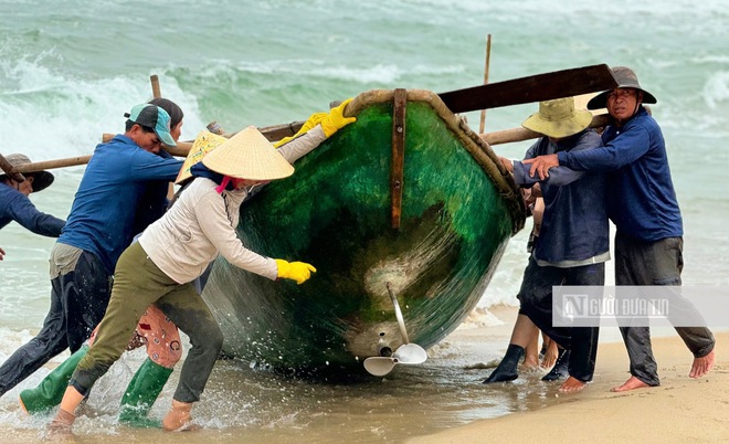 Ngư dân Quảng Ngãi vượt sóng dữ săn "lộc biển" mùa biển động- Ảnh 3. Ngư dân Quảng Ngãi vượt sóng dữ săn "lộc biển" mùa biển động- Ảnh 3.