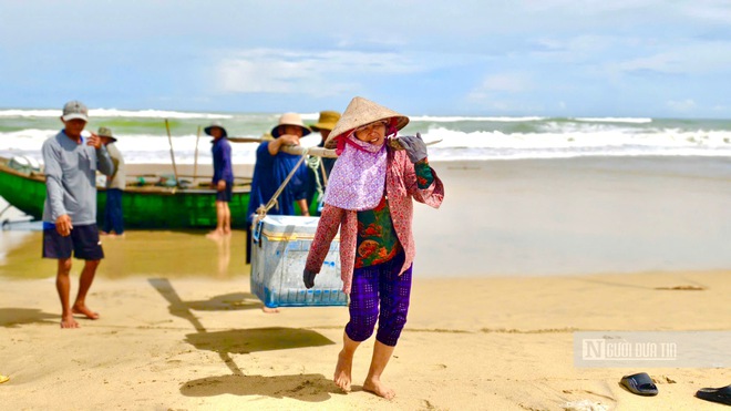 Ngư dân Quảng Ngãi vượt sóng dữ săn "lộc biển" mùa biển động- Ảnh 4. Ngư dân Quảng Ngãi vượt sóng dữ săn "lộc biển" mùa biển động- Ảnh 4.