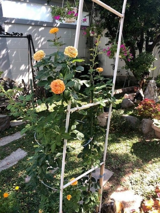 NSND Hồng Vân viên mãn trong cơ ngơi dưỡng già nhiều người mơ ước - Ảnh 4.