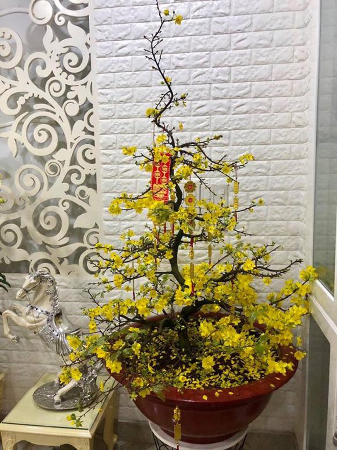 NSND Hồng Vân viên mãn trong cơ ngơi dưỡng già nhiều người mơ ước - Ảnh 8.