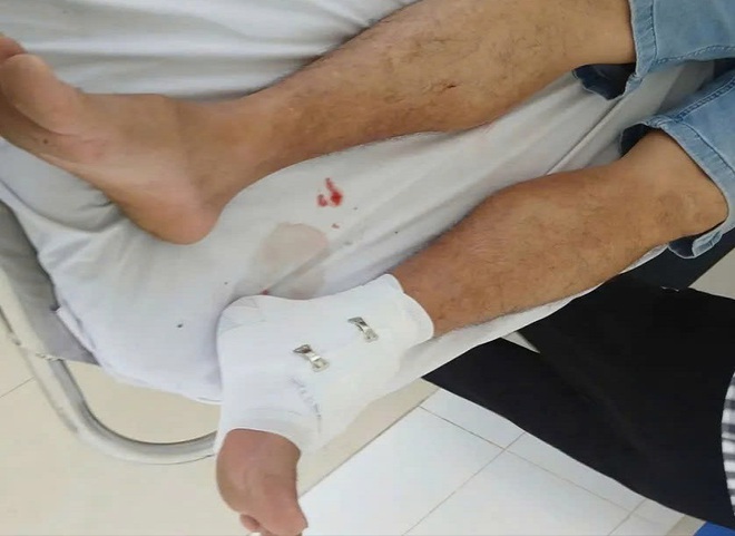 Cá sấu xuất hiện ở khu dân cư, chủ nuôi phải chịu trách nhiệm pháp lý- Ảnh 2.