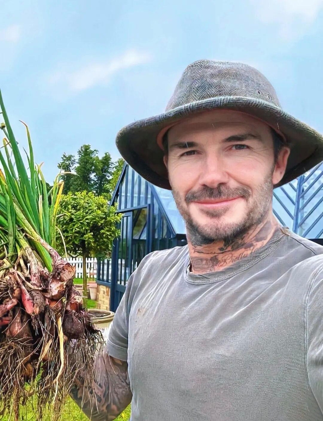 David Beckham "bỏ phố về quê", trồng rau nuôi gà, tận hưởng cuộc sống bình dị giữa điền trang triệu đô - Ảnh 2.