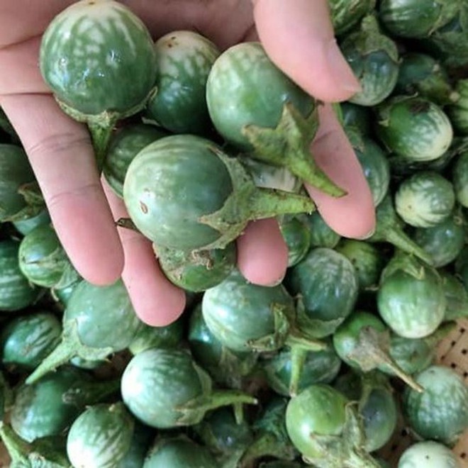 Loại quả mọc dại c&oacute; vị đắng đặc trưng nay th&agrave;nh đặc sản, đặc biệt ngon khi nấu c&ugrave;ng thịt ba chỉ - Ảnh 3.