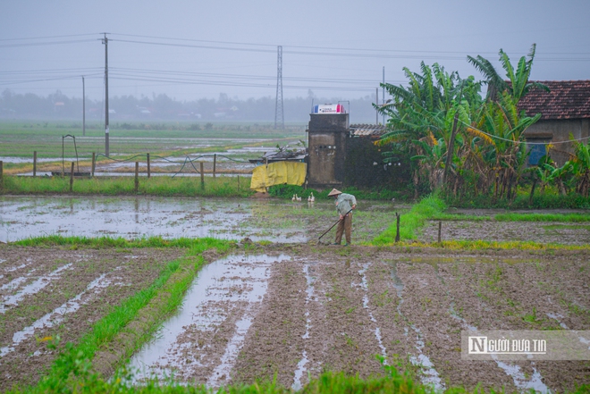 Đắk Lắk: Khắc phục sự cố đ&ecirc; đập sau lũ, kịp đưa nước tưới 18.000 ha vụ l&uacute;a Đ&ocirc;ng Xu&acirc;n - Ảnh 4.