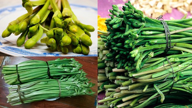 Loài rau dại mọc bờ mương hoá "mỏ tiền", là đặc sản lạ được săn tìm - Ảnh 4.