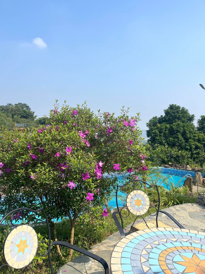 Nam NSƯT ẩn mình trong nhà vườn 10.000m2, U60 vẫn hy vọng tìm thấy tình yêu mới- Ảnh 4. Nam NSƯT ẩn mình trong nhà vườn 10.000m2, U60 vẫn hy vọng tìm thấy tình yêu mới- Ảnh 4.