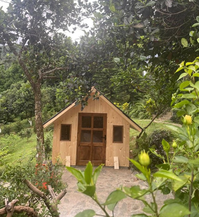 Nam NSƯT ẩn mình trong nhà vườn 10.000m2, U60 vẫn hy vọng tìm thấy tình yêu mới- Ảnh 6. Nam NSƯT ẩn mình trong nhà vườn 10.000m2, U60 vẫn hy vọng tìm thấy tình yêu mới- Ảnh 6.