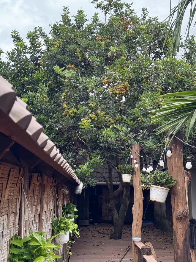 Nàng Hậu sở hữu khu vườn 2.500m2 đậm chất "chữa lành", thấy là mê - Ảnh 7.