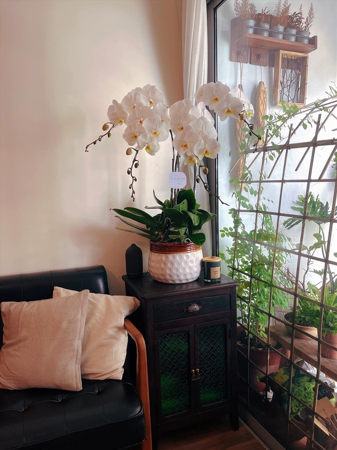 Tổ ấm rộng 75m2 của Jun Phạm, nơi chữa lành cực chill - Ảnh 12.