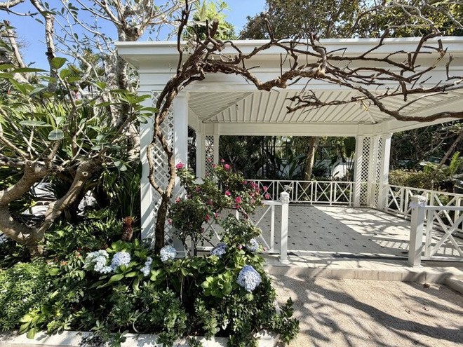 H&eacute; lộ biệt thự rộng 2.000m2 đầy c&acirc;y xanh của nh&agrave; thiết kế đ&igrave;nh đ&aacute;m trong showbiz Việt- Ảnh 10.