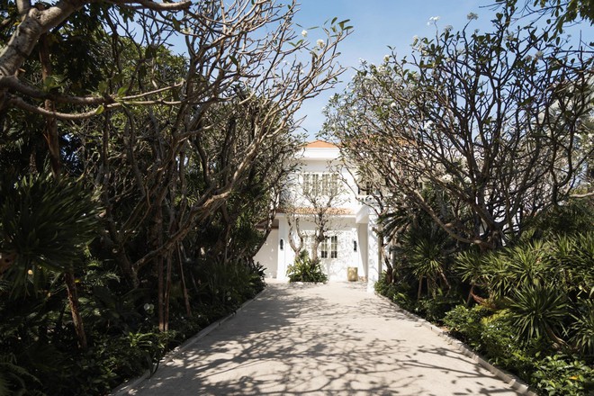 H&eacute; lộ biệt thự rộng 2.000m2 đầy c&acirc;y xanh của nh&agrave; thiết kế đ&igrave;nh đ&aacute;m trong showbiz Việt- Ảnh 11.