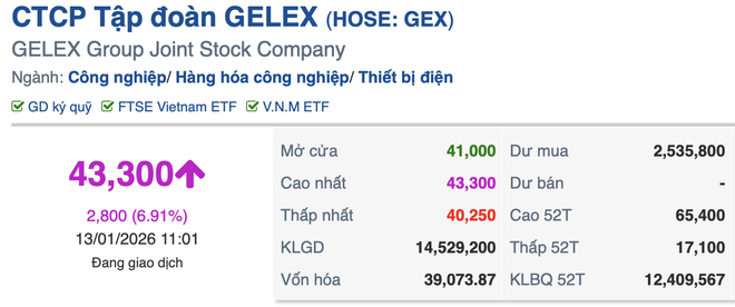 Nh&oacute;m cổ phiếu Gelex đồng loạt bứt tốc, d&ograve;ng tiền đổ mạnh giữa s&oacute;ng lợi nhuận khủng của VIX- Ảnh 4.