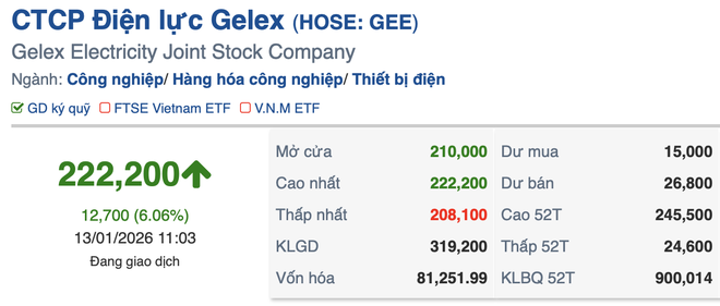 Nh&oacute;m cổ phiếu Gelex đồng loạt bứt tốc, d&ograve;ng tiền đổ mạnh giữa s&oacute;ng lợi nhuận khủng của VIX- Ảnh 2.