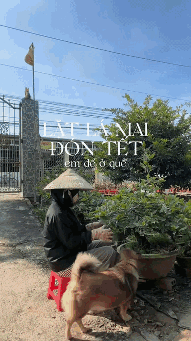 "Đặc sản Tết" kh&ocirc;ng thể thiếu của người miền T&acirc;y - Ảnh 2.