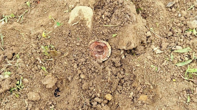 Phát hiện bom chùm trước cổng trường tiểu học - Ảnh 2.