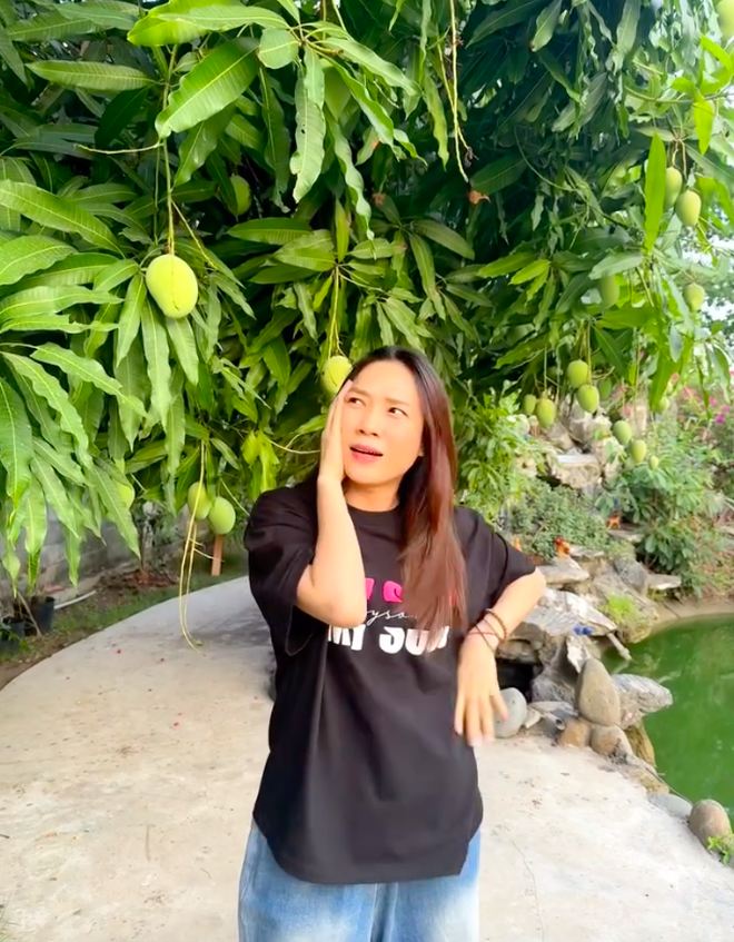 Th&agrave;nh quả kh&ocirc;ng ngờ b&ecirc;n trong nh&agrave; vườn của Mỹ T&acirc;m sau 4 năm - Ảnh 5.