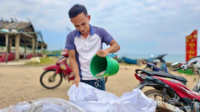 Ra khơi khai thác ốc gạo từ 2 giờ sáng, ngư dân "đút túi" tiền triệu mỗi chuyến- Ảnh 6. Ra khơi khai thác ốc gạo từ 2 giờ sáng, ngư dân "đút túi" tiền triệu mỗi chuyến- Ảnh 6.