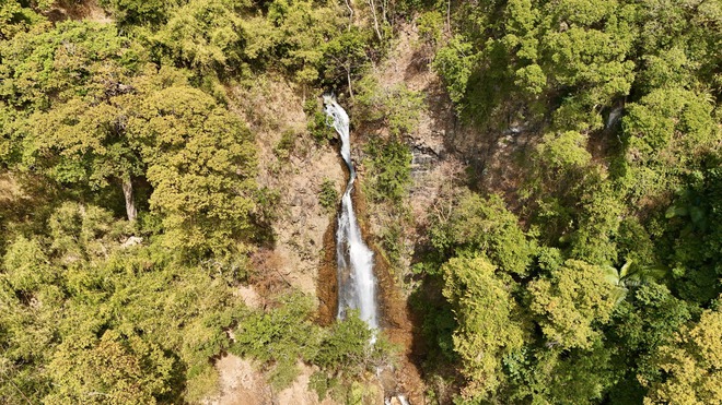 Đẹp ngỡ ng&agrave;ng rừng tự nhi&ecirc;n thay l&aacute; nhuộm sắc đ&egrave;o Măng Đen- Ảnh 3.