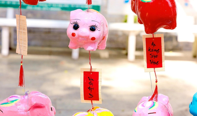 "Đường heo đất" rực rỡ sắc Xu&acirc;n - Ảnh 5.