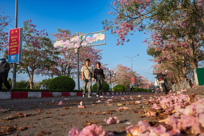 K&egrave;n hồng khoe sắc, rực rỡ th&aacute;ng 3 - Ảnh 10.