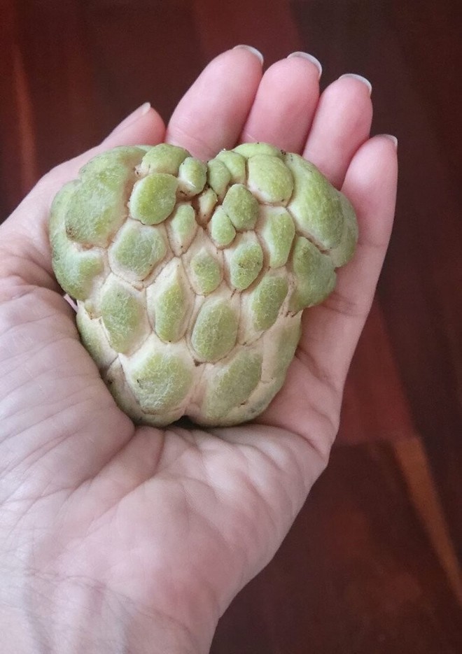 "Nữ hoàng dân ca" và điều kỳ lạ trong khu vườn ở biệt thự triệu đô - Ảnh 21.