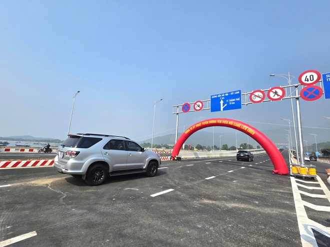 Siêu cảng Liên Chiểu khởi động giai đoạn mới, cú hích đưa Đà Nẵng ra biển lớn - Ảnh 7.