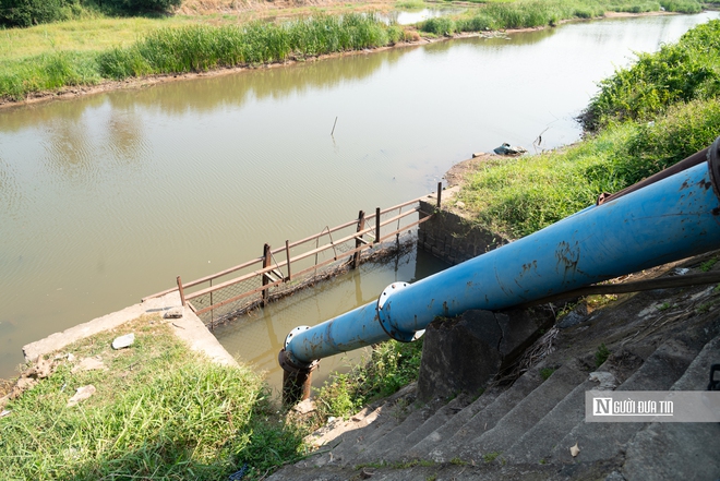 Đắk Lắk khẳng định kh&ocirc;ng để l&uacute;a chết kh&ocirc;, duy tr&igrave; c&aacute;c trạm bơm 24/24 đưa nước về c&aacute;c xứ đồng hạn- Ảnh 4.