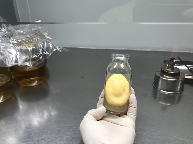 Ch&agrave;ng thạc sĩ bỏ phố về qu&ecirc;, bắt đầu khởi nghiệp bằng lo&agrave;i nấm "đắt đỏ"- Ảnh 1.