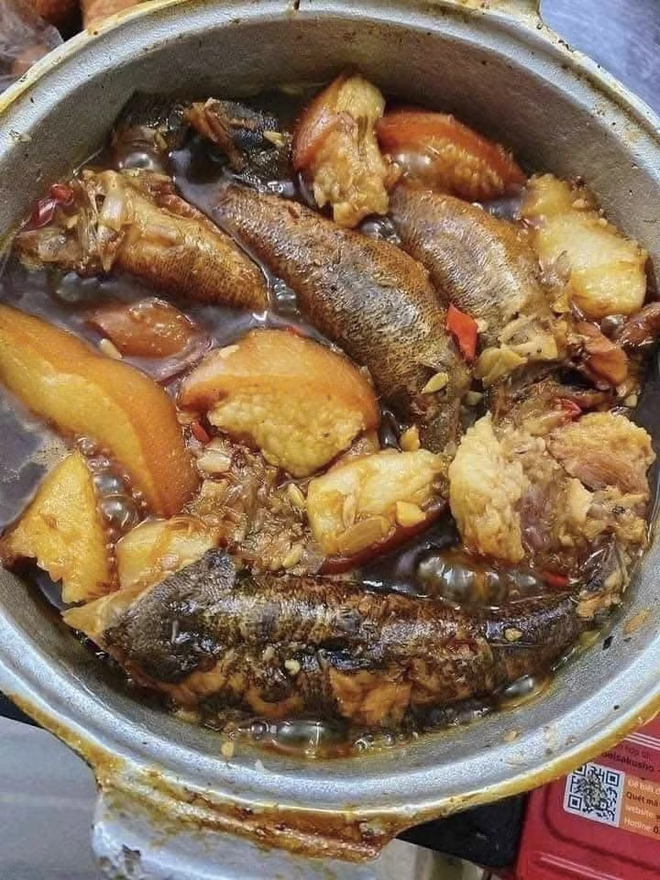 Lo&agrave;i c&aacute; c&oacute; m&agrave;u tối thui l&agrave; "vua c&aacute; nước ngọt", c&oacute; gi&aacute; nửa triệu/kg vẫn đắt h&agrave;ng - Ảnh 5.