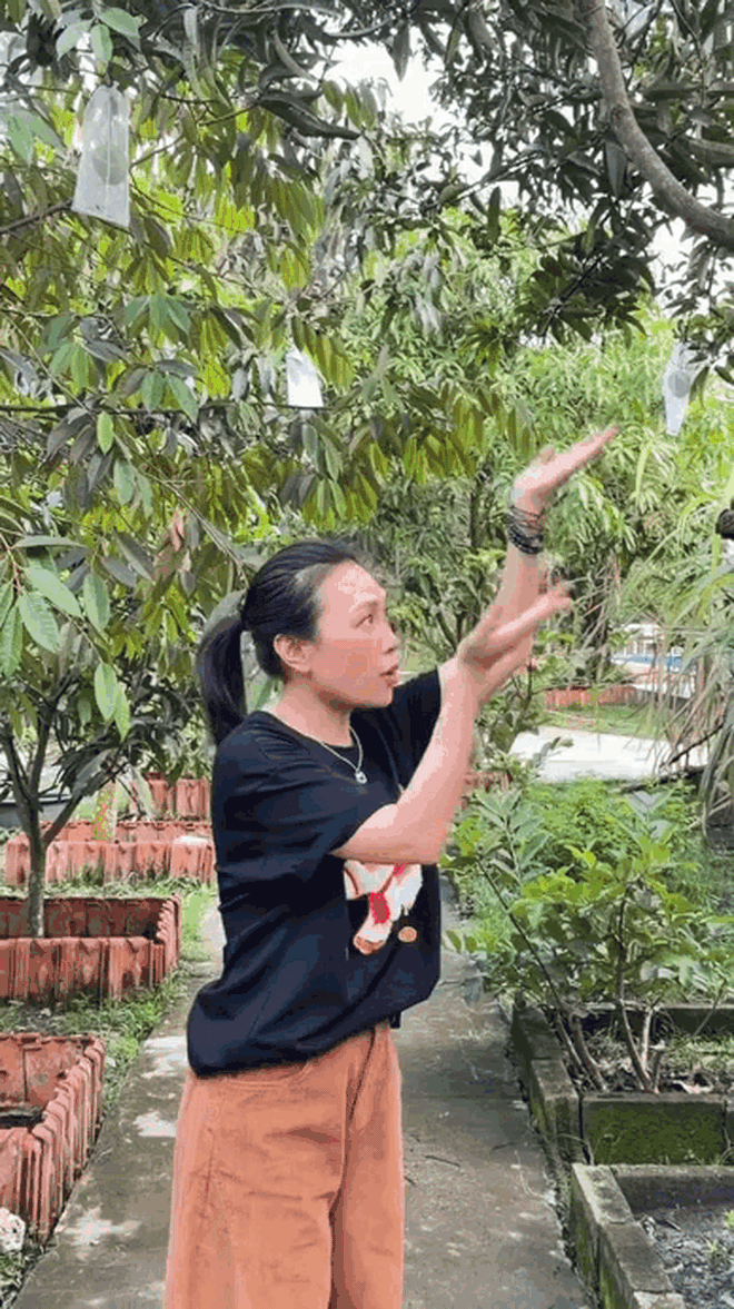 Những thức quà miền nhiệt đới trong biệt phủ nghìn mét vuông của Mỹ Tâm - Ảnh 4.